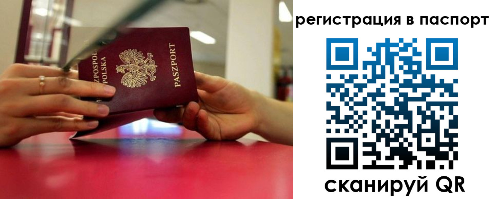 пропишу в квартире в Мончегорске